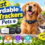 Best Affordable GPS Trackers for Pets in 2026