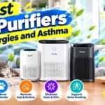 Best Air Purifiers for Allergies and Asthma in 2026