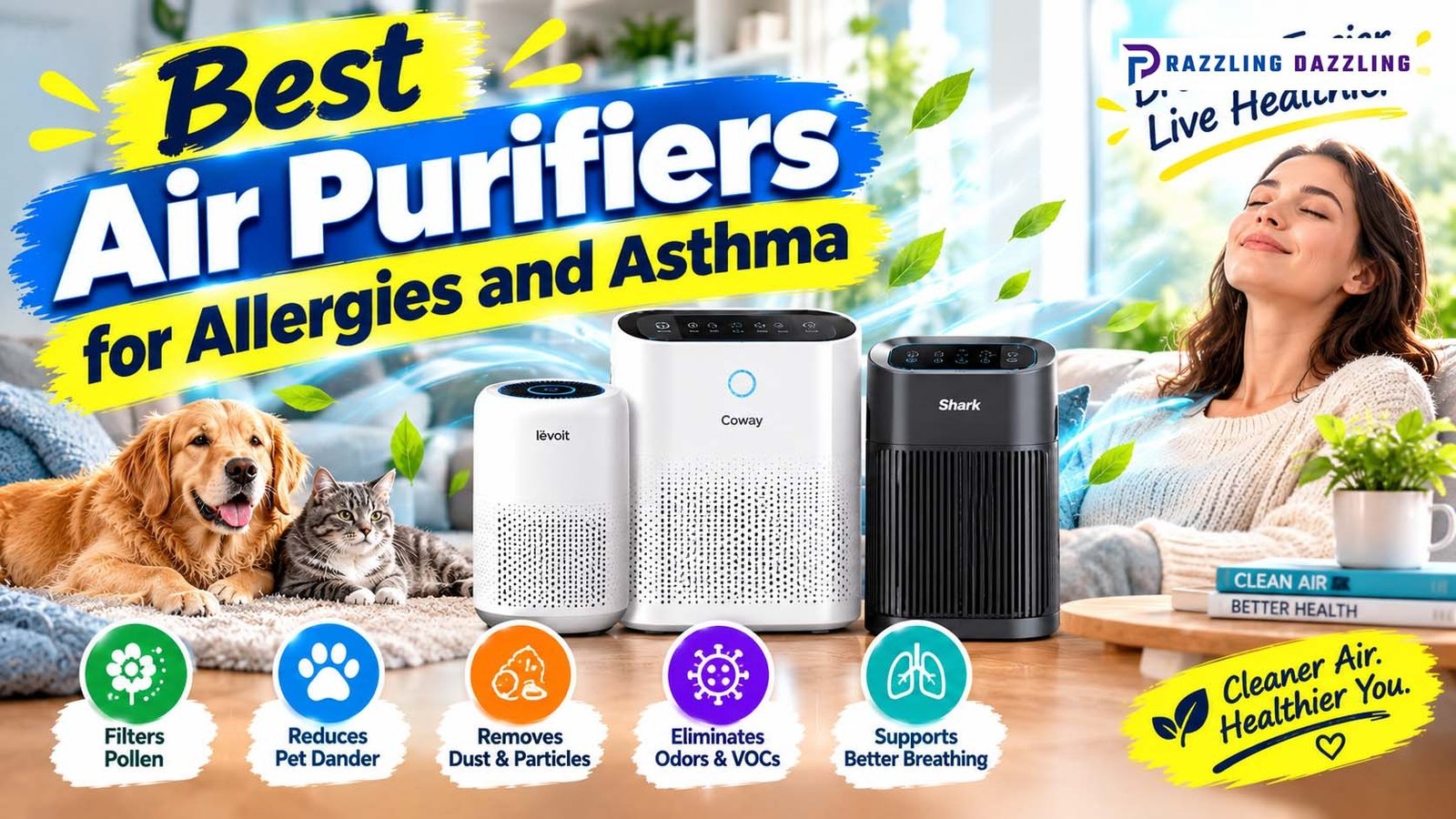 Best Air Purifiers for Allergies and Asthma